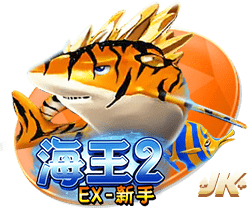 官方：17岁青训小将乔